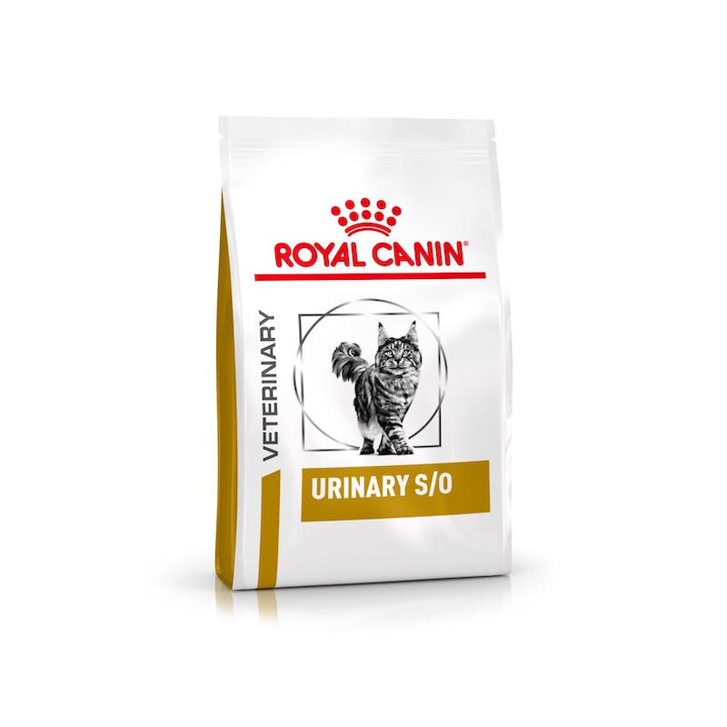 Urinary best sale high dilution